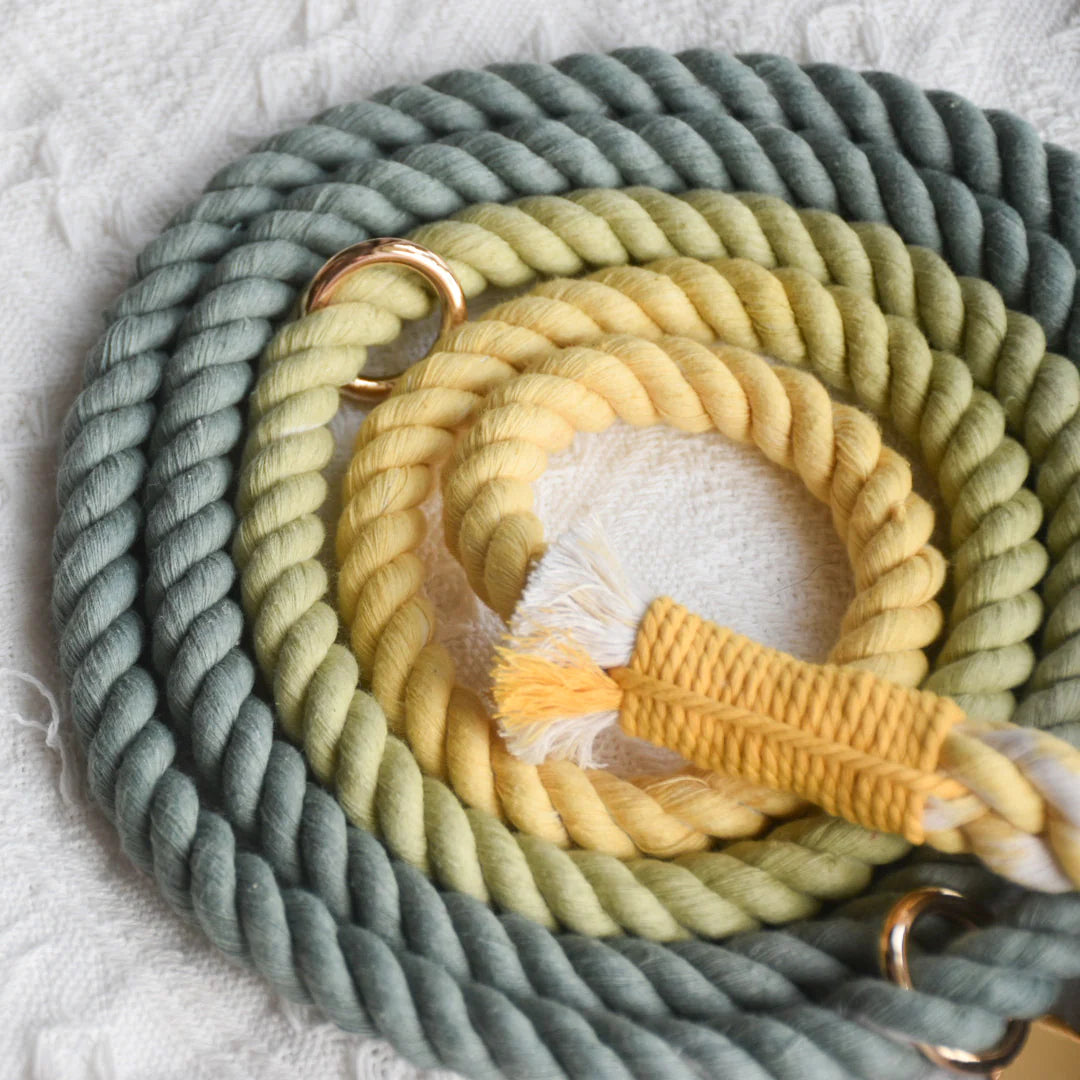 Pawsome Pets New York Laisse en corde pour chien mains libres - Avocado — Colliers, laisses et harnais — photo 3