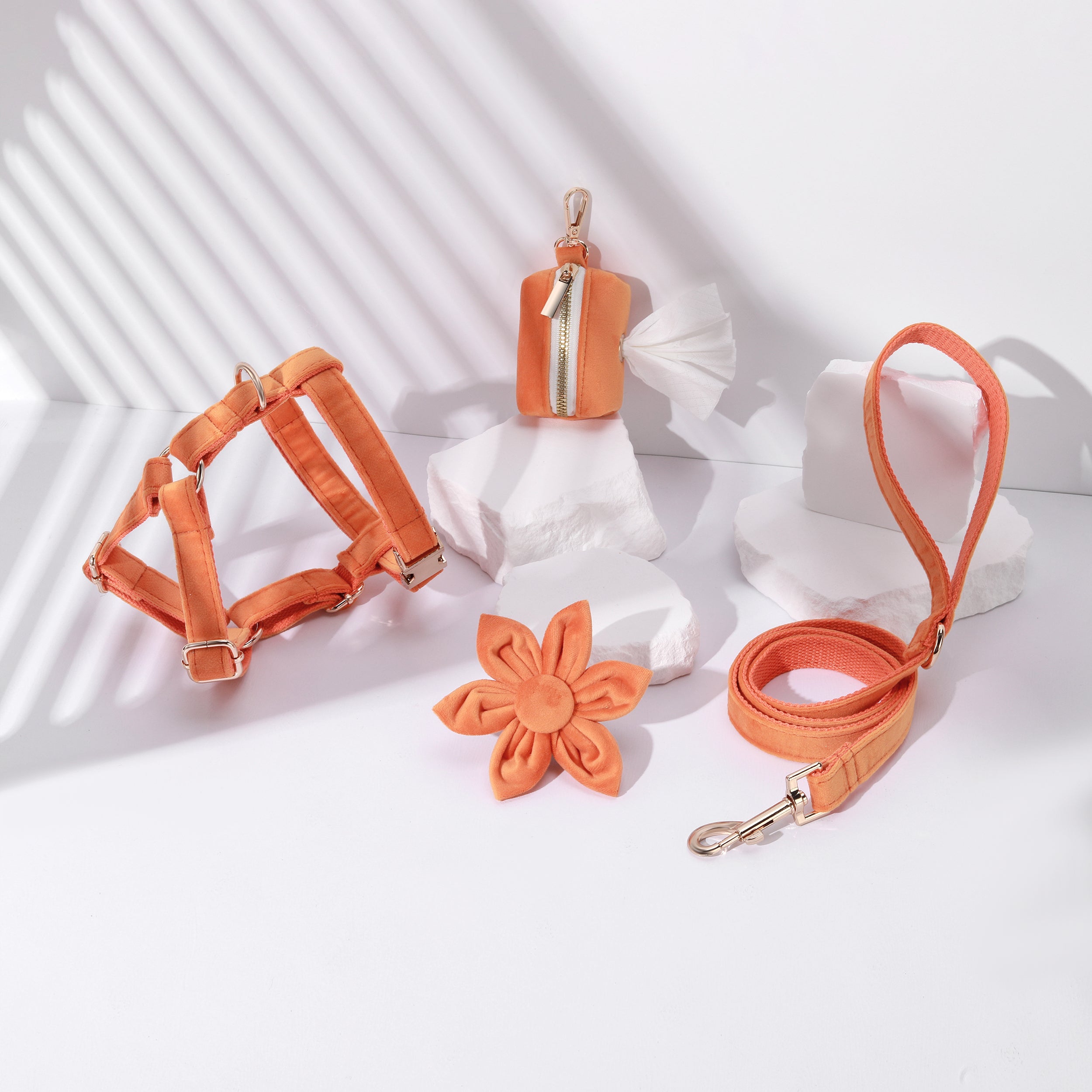 Pawsome Pets New York ENSEMBLE FLORAL STEP IN - ORANGE(4 pièces) — Colliers, laisses et harnais — photo 2