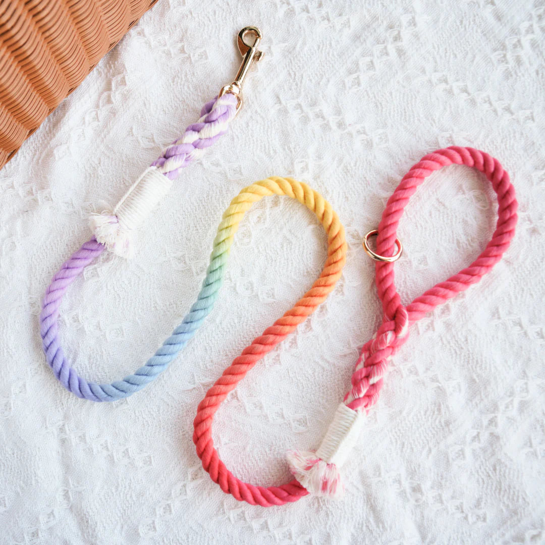 Pawsome Pets New York Smycz linowa - Dream rainbow — Obroże, smycze i szelki — photo 2