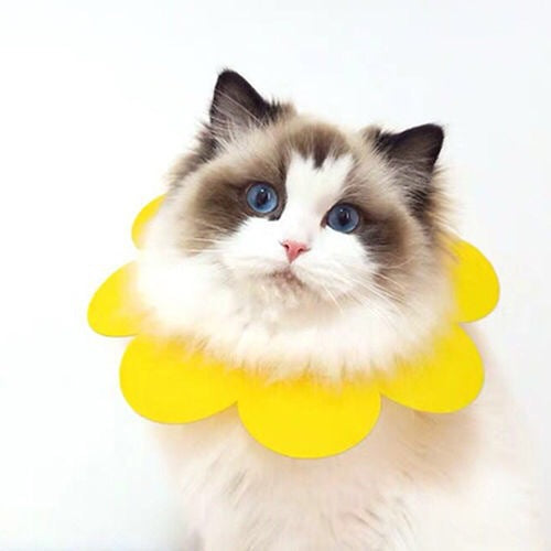 Woof & Meow Collier de protection anti-morsure pour blessures Sunflowers — photo 4