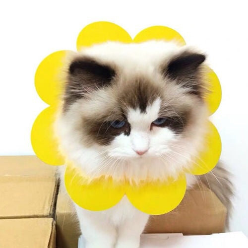 Woof & Meow Collier de protection anti-morsure pour blessures Sunflowers — photo 6