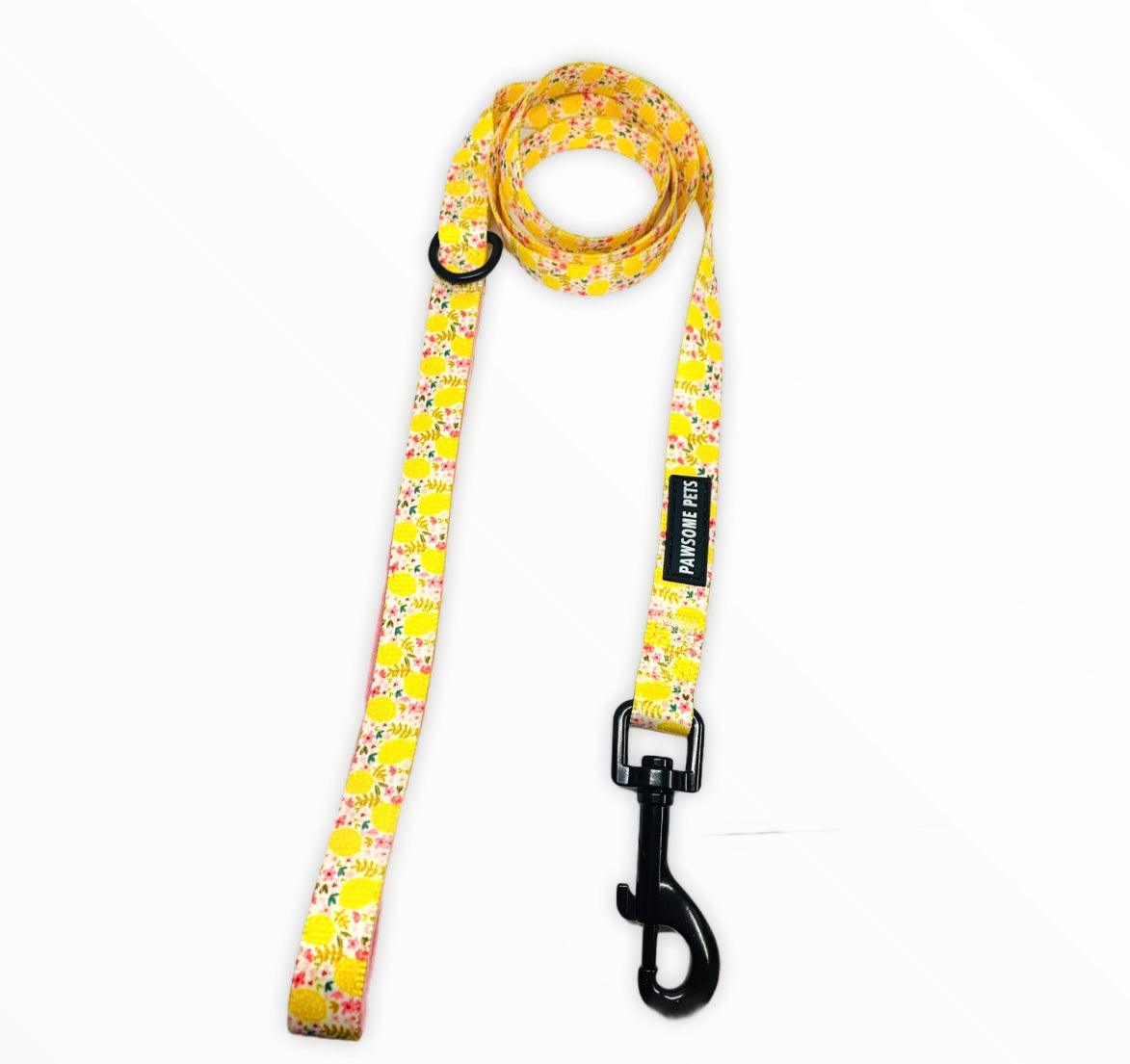 Pawsome Pets New York Smycz - Oh my lemon — Obroże, smycze i szelki — photo 3