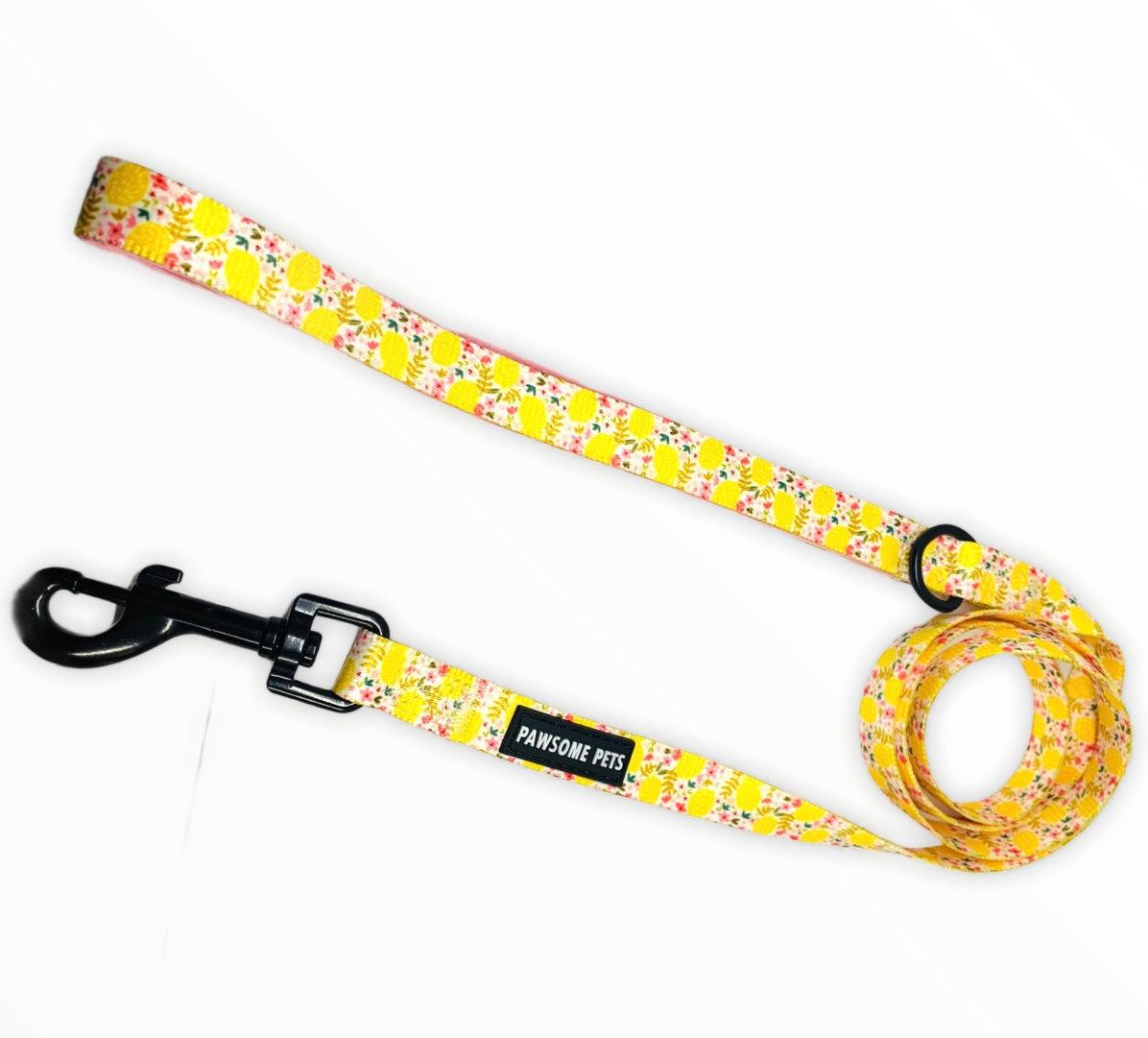 Pawsome Pets New York Smycz - Oh my lemon — Obroże, smycze i szelki — photo 2
