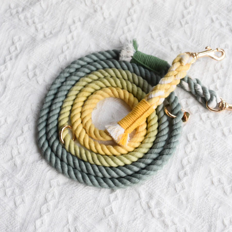 Pawsome Pets New York Laisse en corde pour chien mains libres - Avocado — Colliers, laisses et harnais — photo 2