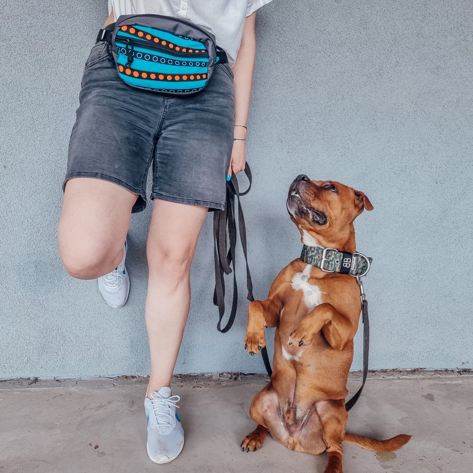 Drinbags Sac banane adapté aux chiens - choisissez votre combinaison de couleurs ! — Colliers, laisses et harnais — photo 10