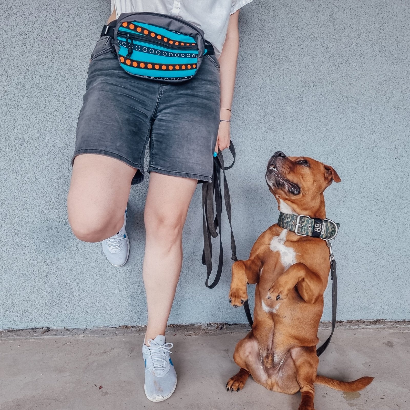 Drinbags Sakwa na przysmaki dla psa LEO — photo 8