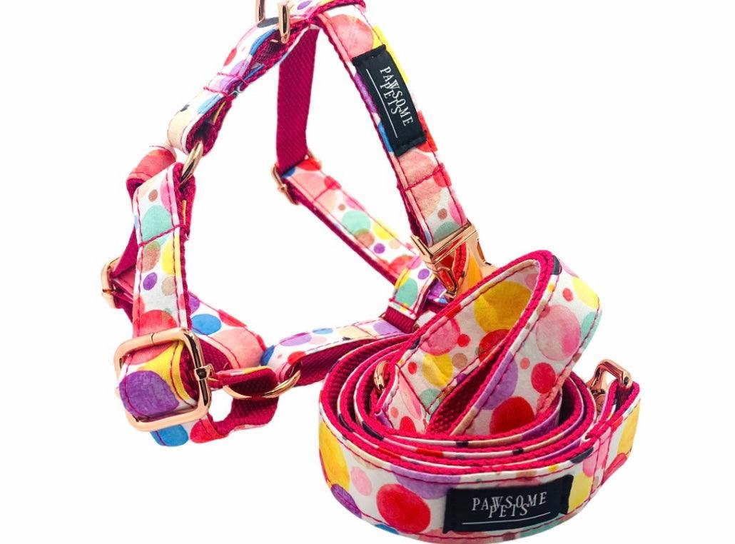 Pawsome Pets New York Szelki step-in - Oh my bubbles — Obroże, smycze i szelki — photo 4
