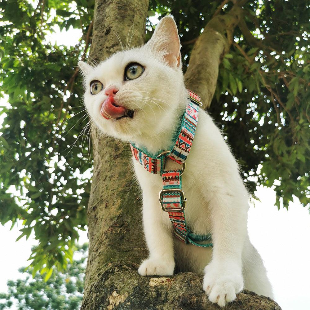 Pawsome Pets New York Szelki step-in - Oh my bubbles — Obroże, smycze i szelki — photo 5