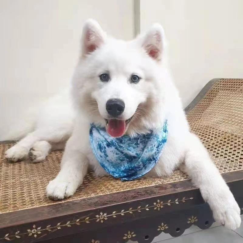 Pawsome Pets New York Bandana - Ocean blue — Ubranka dla psów — photo 5