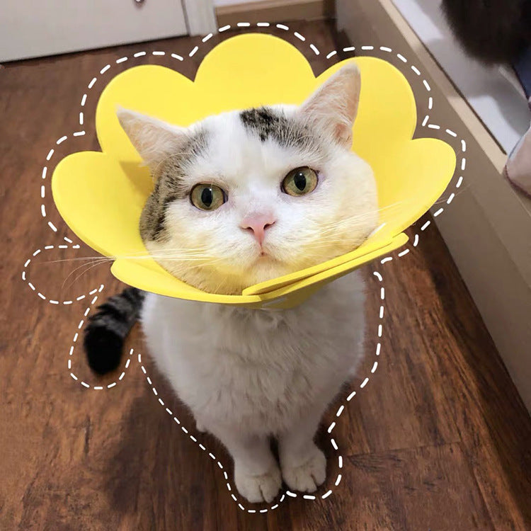Woof & Meow Collier de protection anti-morsure pour blessures Sunflowers — photo 5