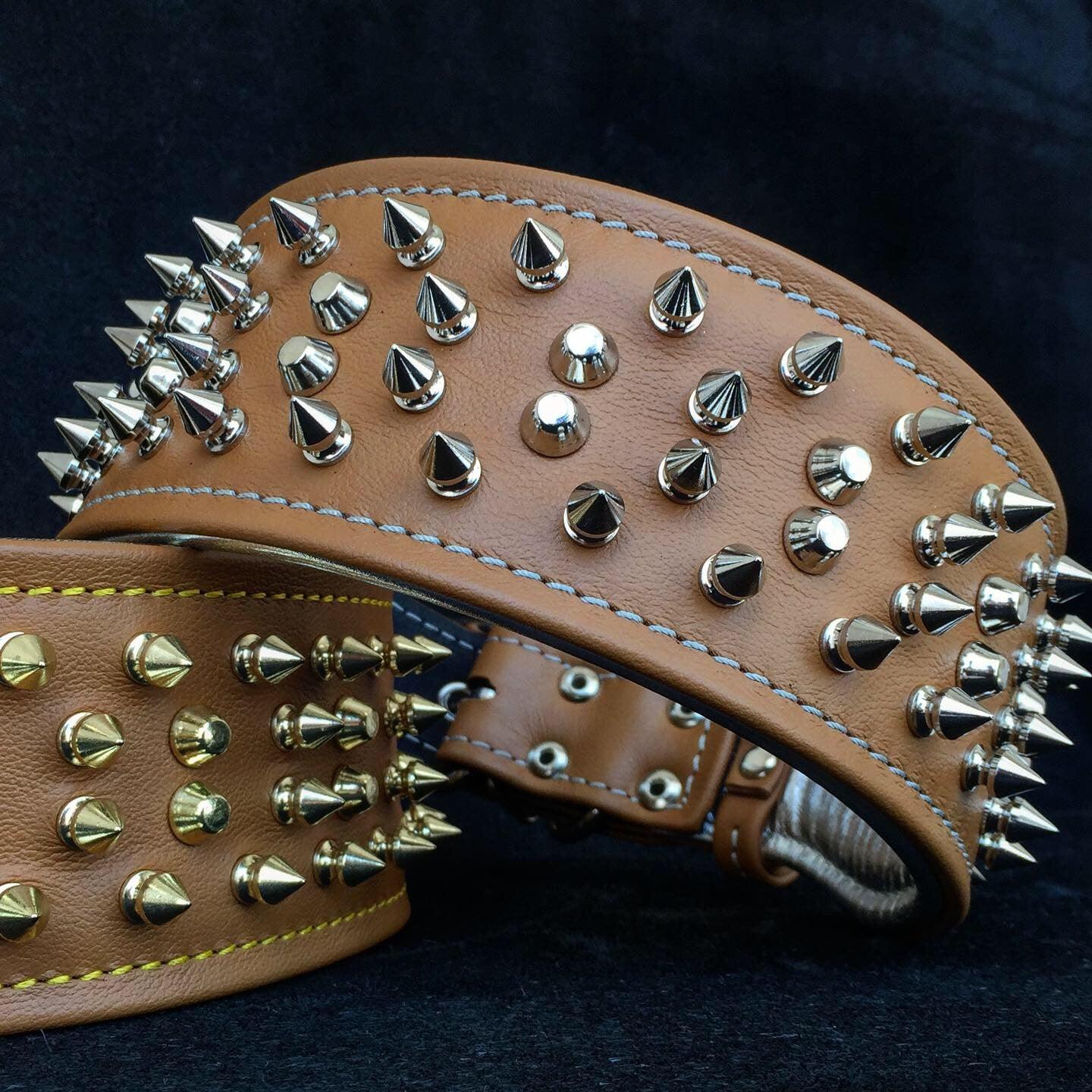 Bestia Obroża "Crown" — photo 3