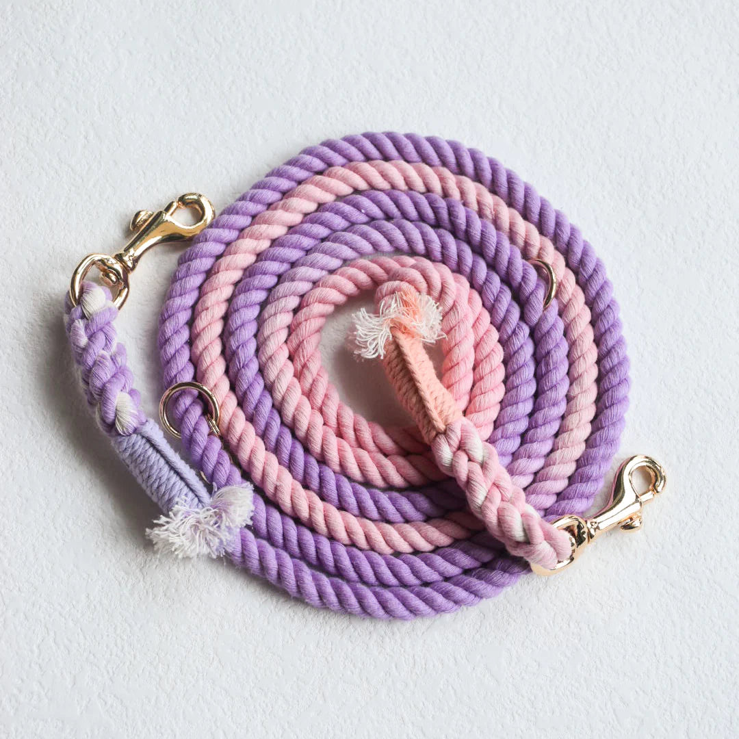 Pawsome Pets New York Laisse en corde pour chien mains libres - Rosy garden — Colliers, laisses et harnais — photo 2