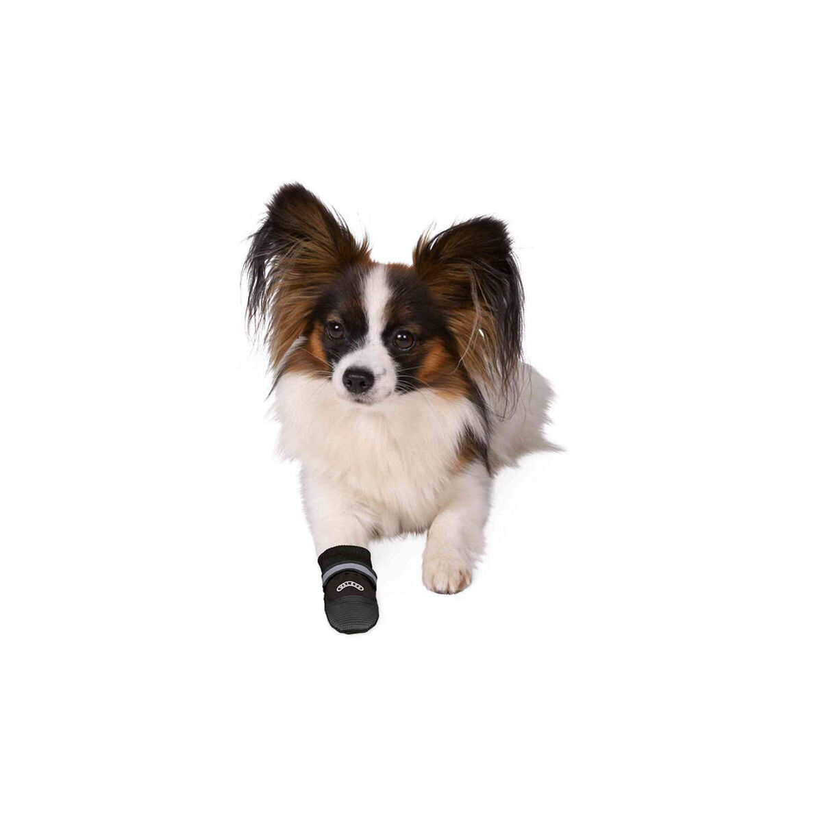 Boots Trixie Walker Care Comfort Black M — Vêtements pour chiens — photo 11