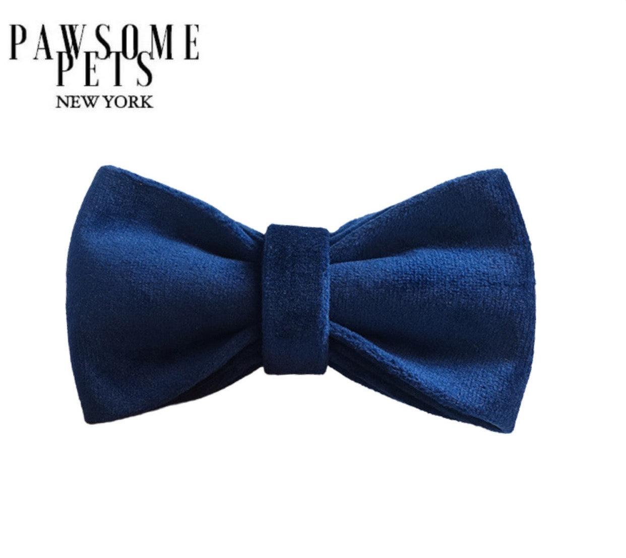 Pawsome Pets New York Nœud papillon - Blue to be wild — Vêtements pour chiens — photo 2