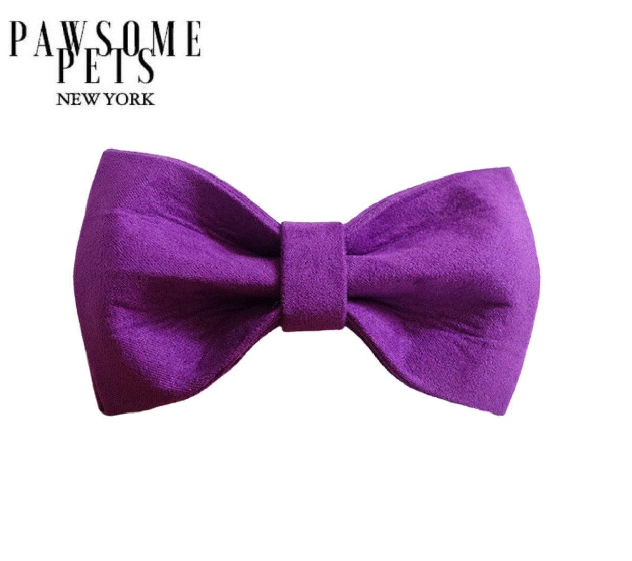 Pawsome Pets New York Nœud papillon - Amour violet — Vêtements pour chiens — photo 2