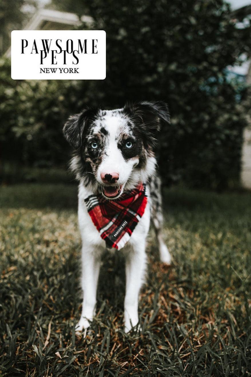 Pawsome Pets New York Bandana - Hudson — Ubranka dla psów — photo 3