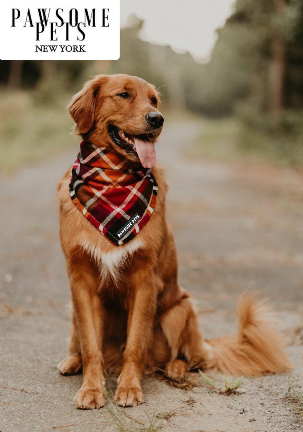 Pawsome Pets New York Bandana - Harvest — Ubranka dla psów — photo 4