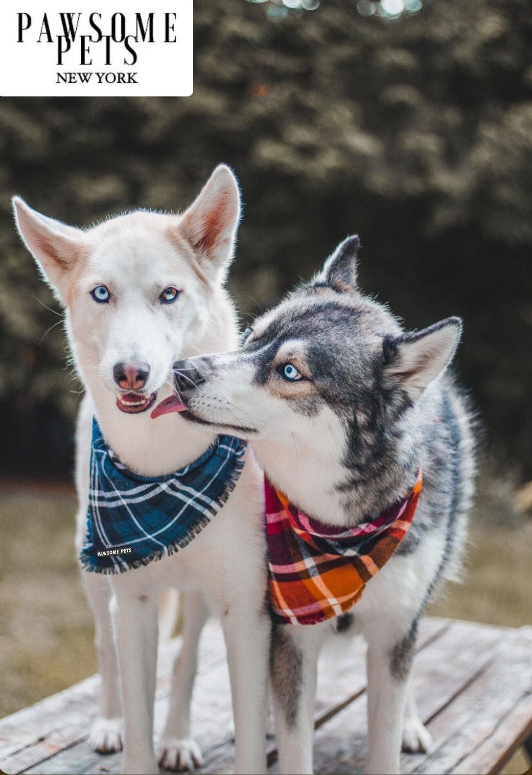 Pawsome Pets New York Bandana - Harvest — Ubranka dla psów — photo 3