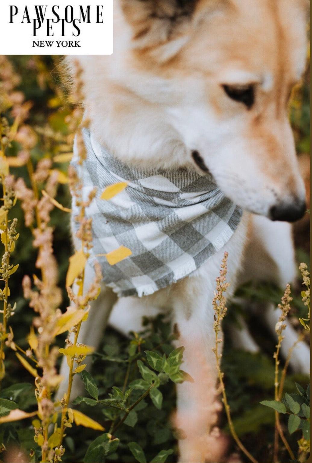Pawsome Pets New York Bandana - Sawyer — Ubranka dla psów — photo 3