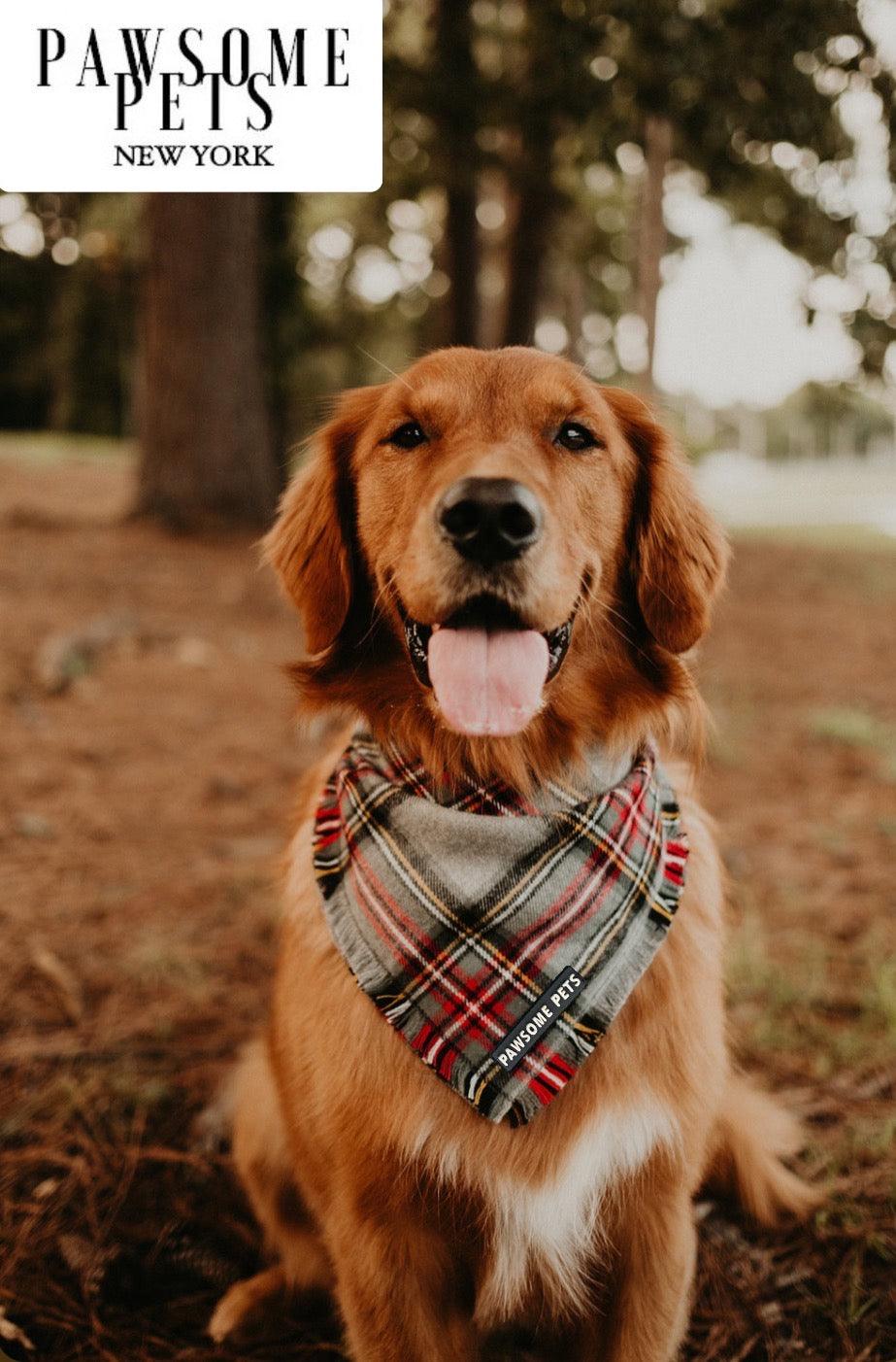 Pawsome Pets New York Bandana - Noelle — Ubranka dla psów — photo 4