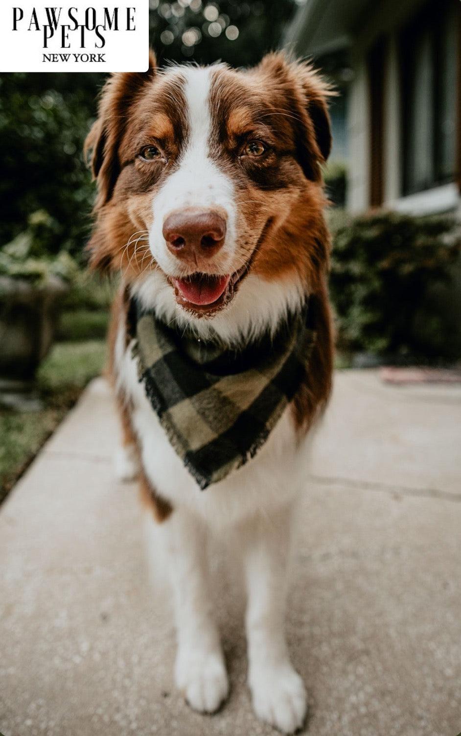 Pawsome Pets New York Bandana - Evergreen — Ubranka dla psów — photo 3