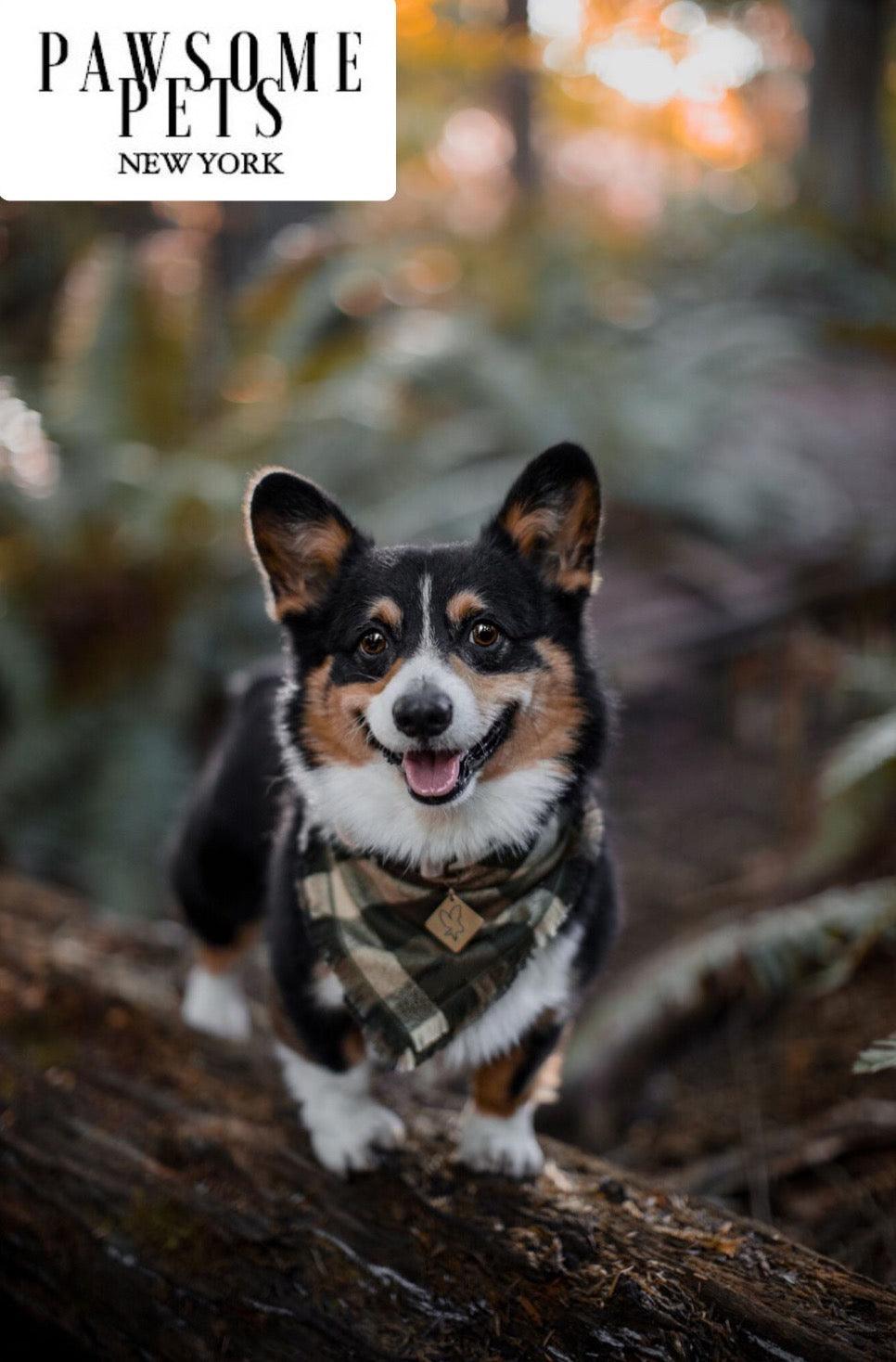 Pawsome Pets New York Bandana - Olive green — Vêtements pour chiens — photo 3