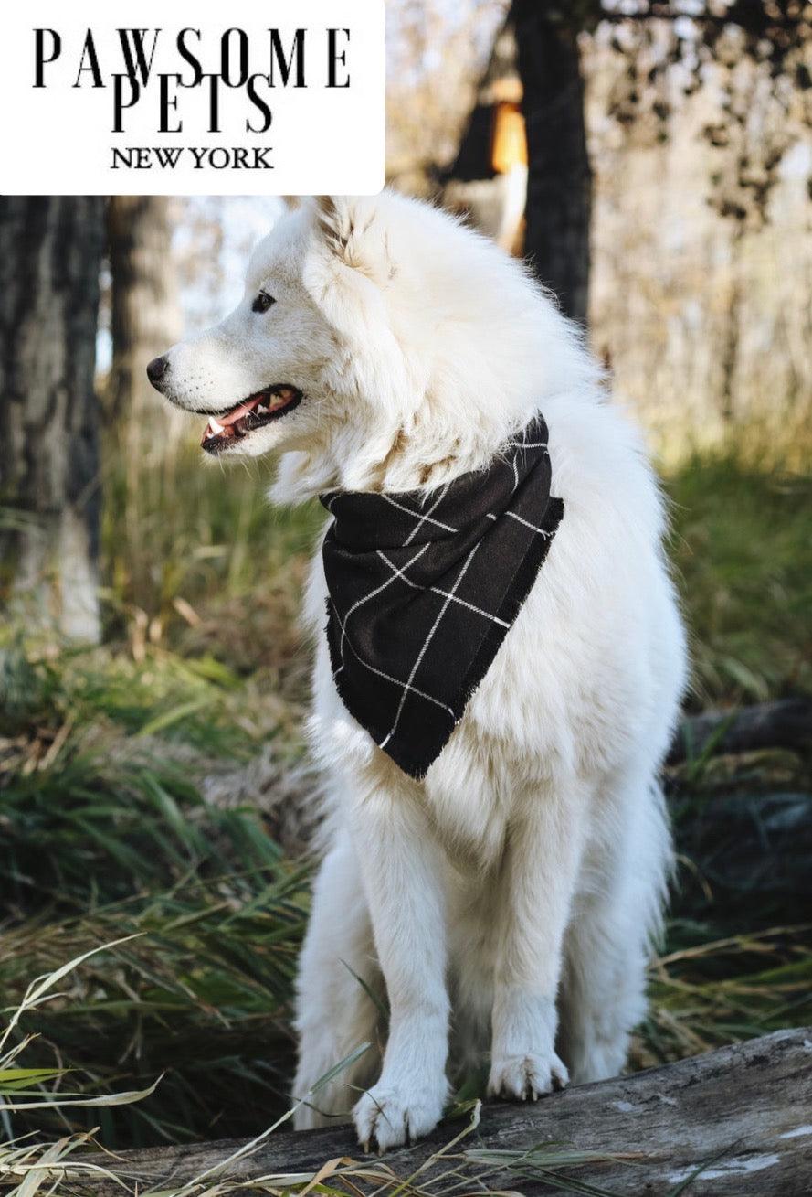Pawsome Pets New York Bandana - Betty — Vêtements pour chiens — photo 3