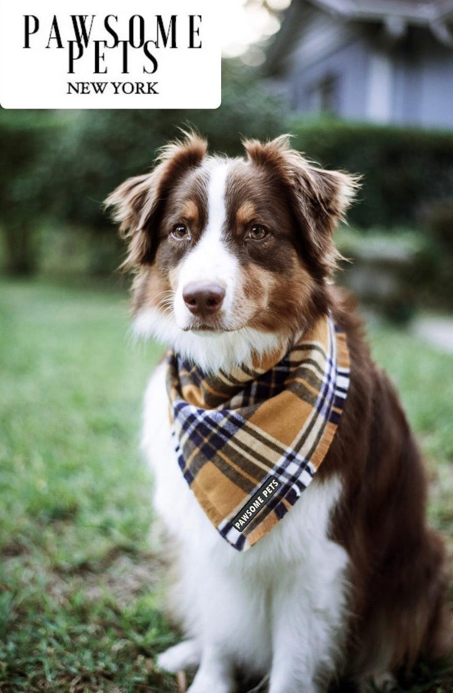 Pawsome Pets New York Bandana - Beau — Ubranka dla psów — photo 3