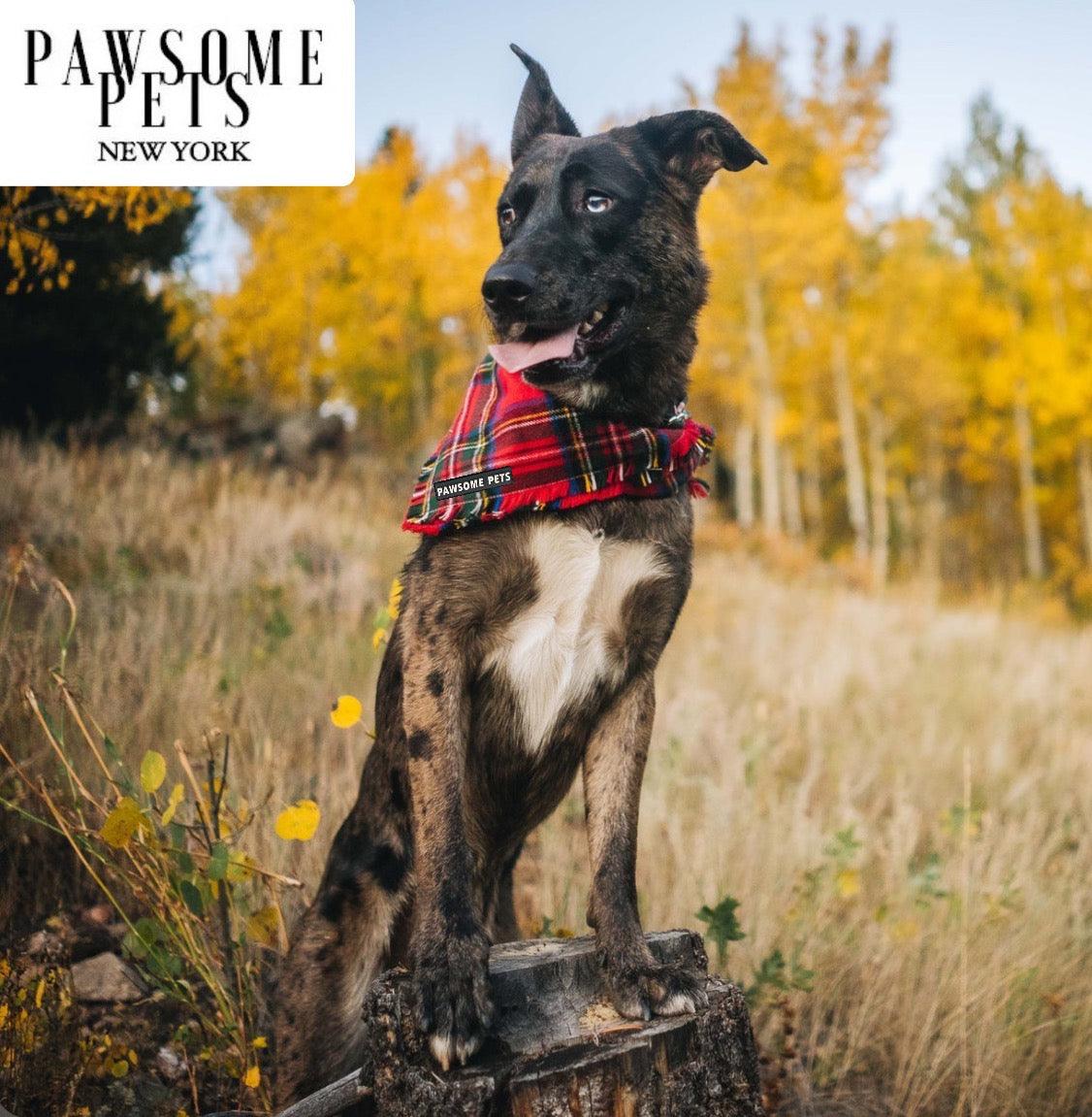 Pawsome Pets New York Bandana - Nox — Ubranka dla psów — photo 3