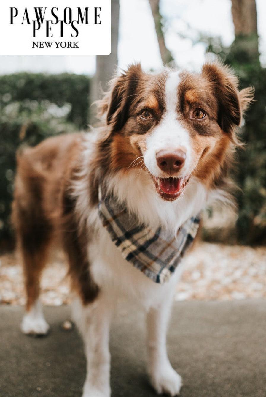 Pawsome Pets New York Bandana - Porter — Ubranka dla psów — photo 3