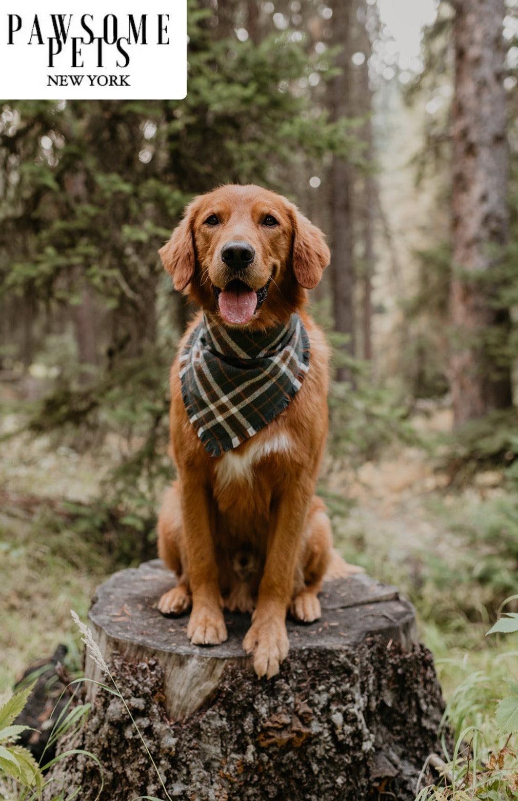 Pawsome Pets New York Bandana - Monroe — Ubranka dla psów — photo 3