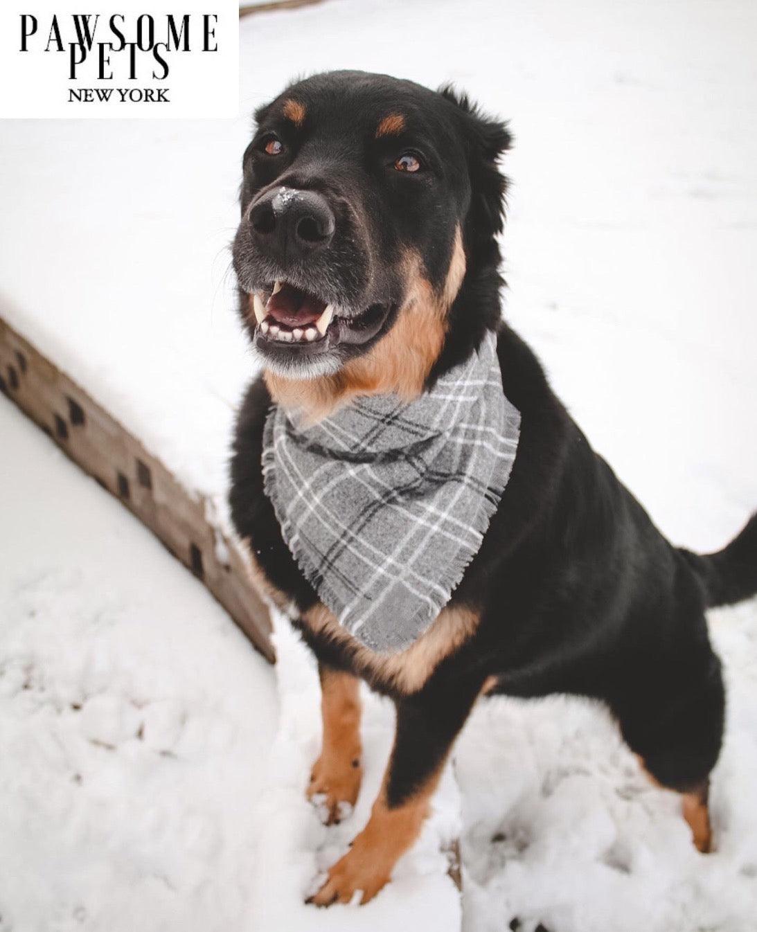 Pawsome Pets New York Bandana - Rainer — Ubranka dla psów — photo 3