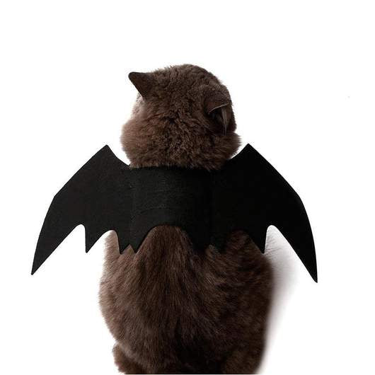 Woof & Meow Łatwy kostium nietoperza z uszami dla kota na Halloween — Ubranka dla psów — photo 3