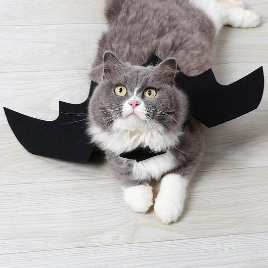 Woof & Meow Łatwy kostium nietoperza z uszami dla kota na Halloween — Ubranka dla psów — photo 2