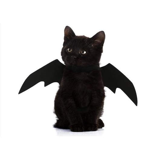 Woof & Meow Łatwy kostium nietoperza z uszami dla kota na Halloween — Ubranka dla psów — photo 4