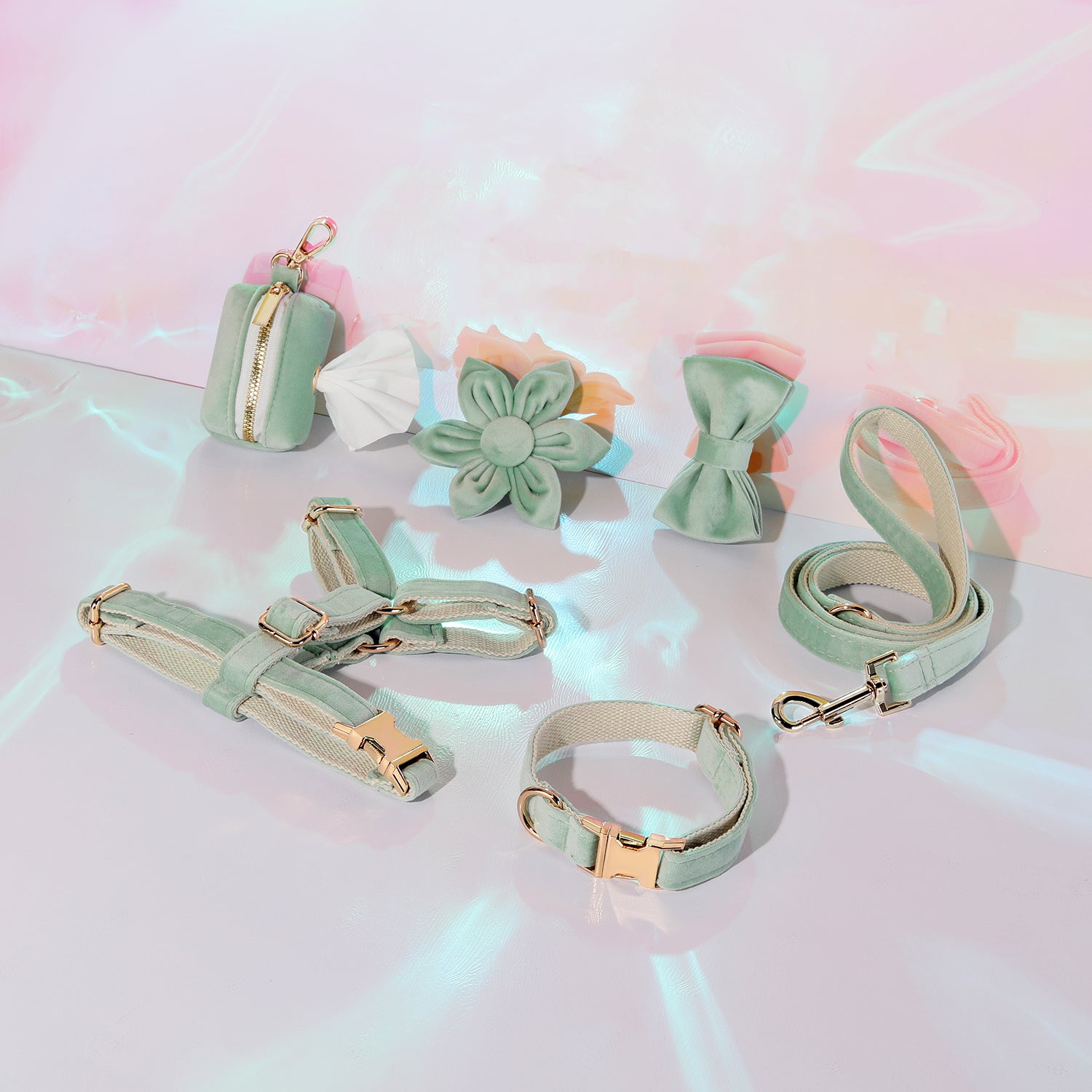Pawsome Pets New York ENSEMBLE FLORAL STEP IN - VERT MENTHE CLAIR (6 pièces) — Colliers, laisses et harnais — photo 2