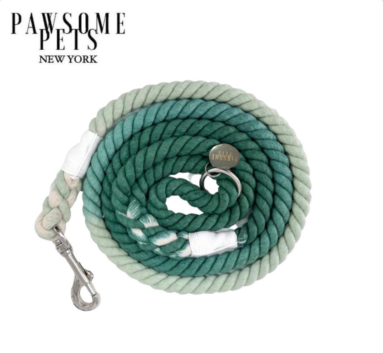 Pawsome Pets New York Laisse en corde - Ombre venetian green — Colliers, laisses et harnais — photo 2