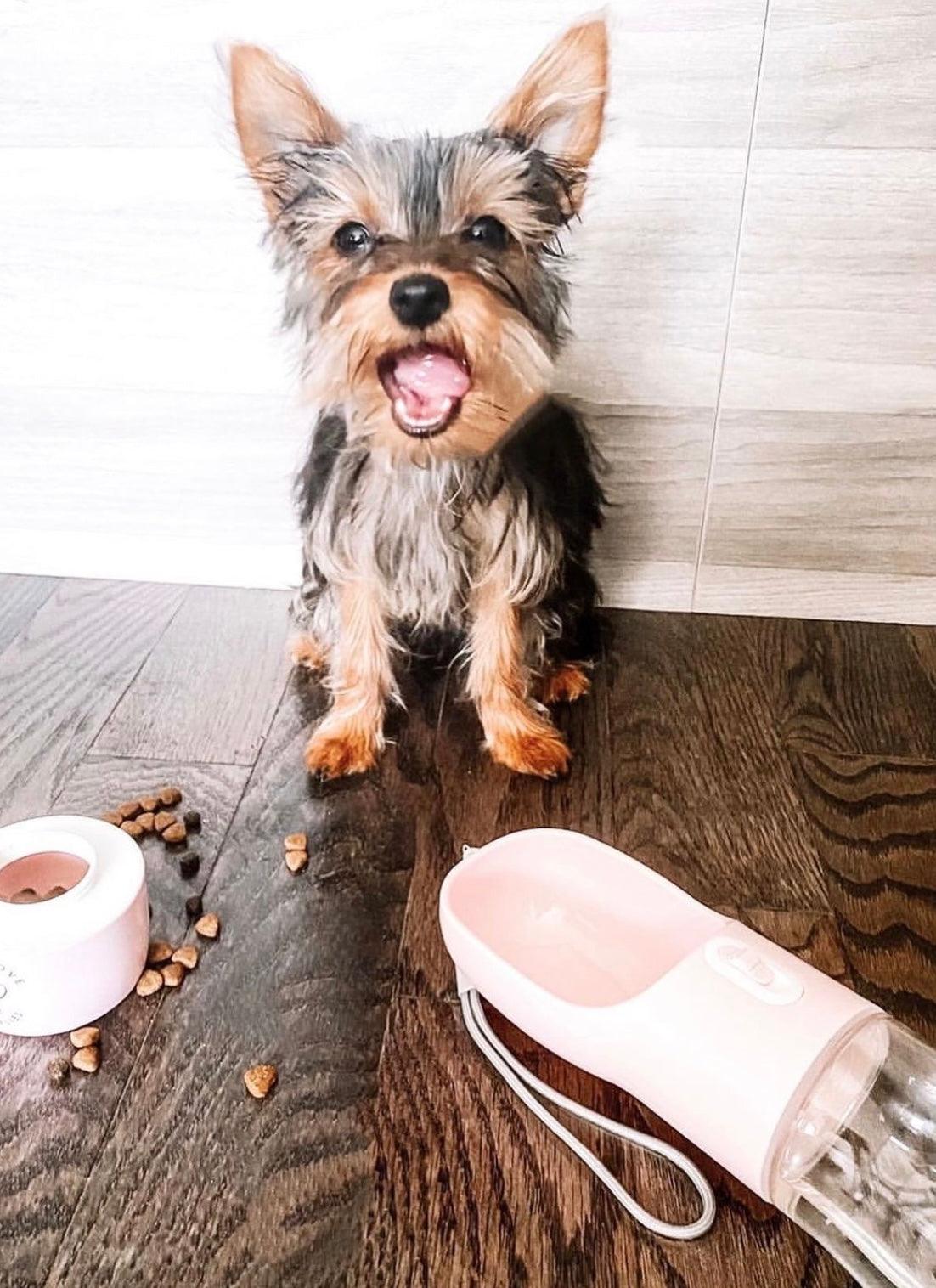 Pawsome Pets New York Przenośny karmnik dla zwierząt 2 w 1 - Różowy — Miski, karmniki i poidła — photo 6