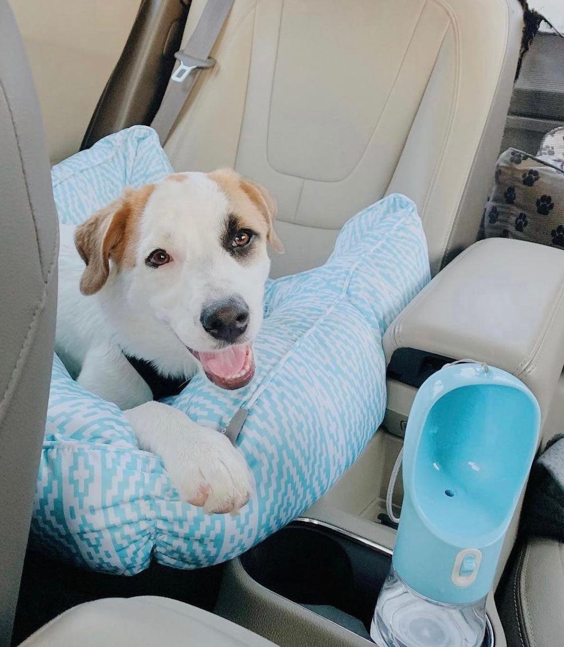 Pawsome Pets New York Przenośny karmnik dla zwierząt 2 w 1 - niebieski — Miski, karmniki i poidła — photo 4