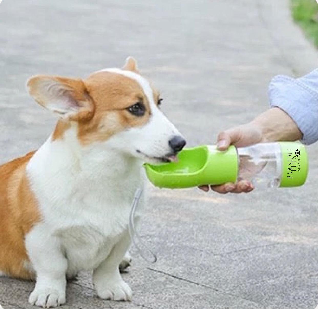 Pawsome Pets New York Przenośny karmnik dla zwierząt 2 w 1 - Zielony — Miski, karmniki i poidła — photo 3