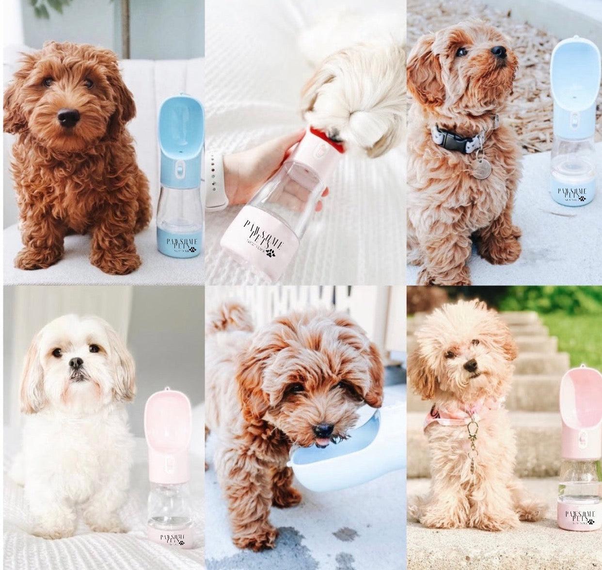 Pawsome Pets New York Przenośny karmnik dla zwierząt 2 w 1 - Zielony — Miski, karmniki i poidła — photo 5