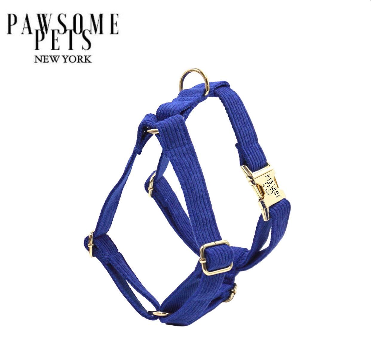 Pawsome Pets New York Szelki step-in - Blue — Obroże, smycze i szelki — photo 2