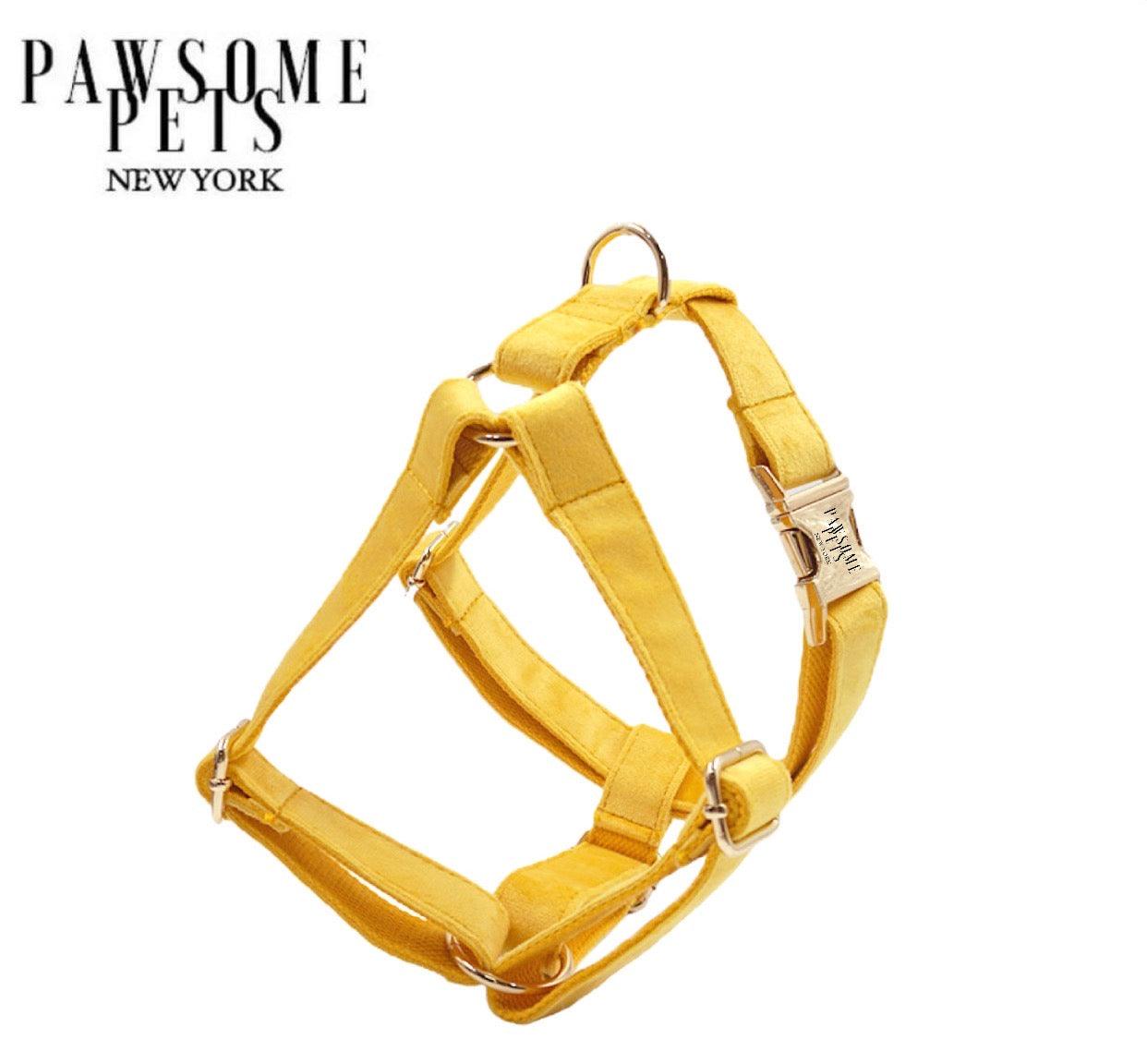 Pawsome Pets New York Szelki step-in - Ciemny żółty — Obroże, smycze i szelki — photo 2