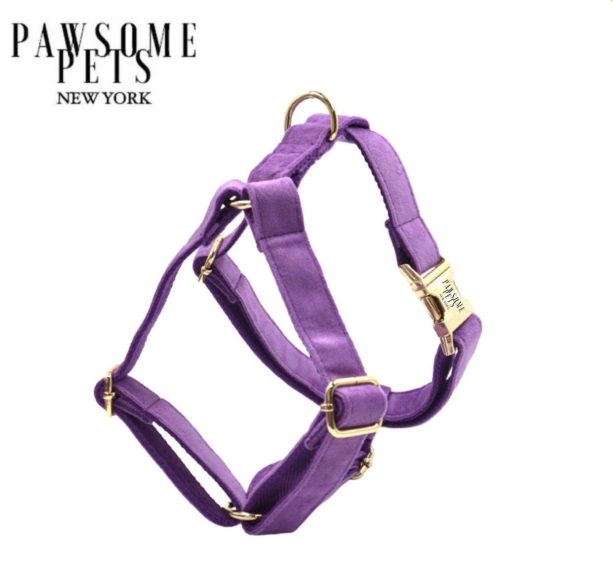 Pawsome Pets New York Szelki step-in - Ciemny fioletowy — Obroże, smycze i szelki — photo 2