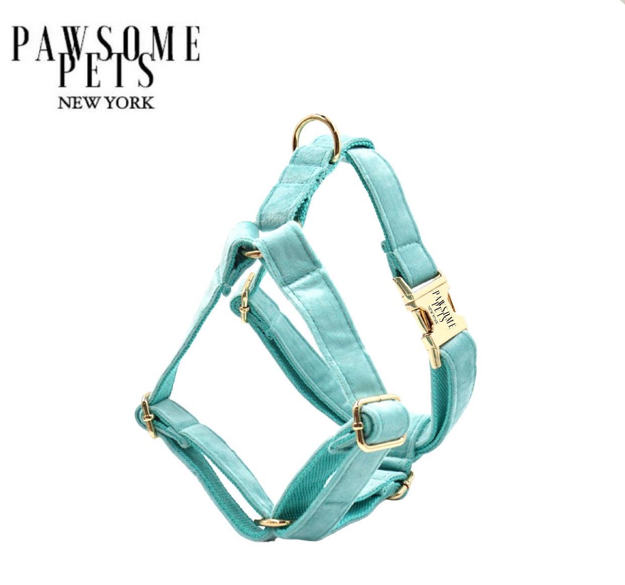 Pawsome Pets New York Szelki step-in - Miętowa zieleń — Obroże, smycze i szelki — photo 2