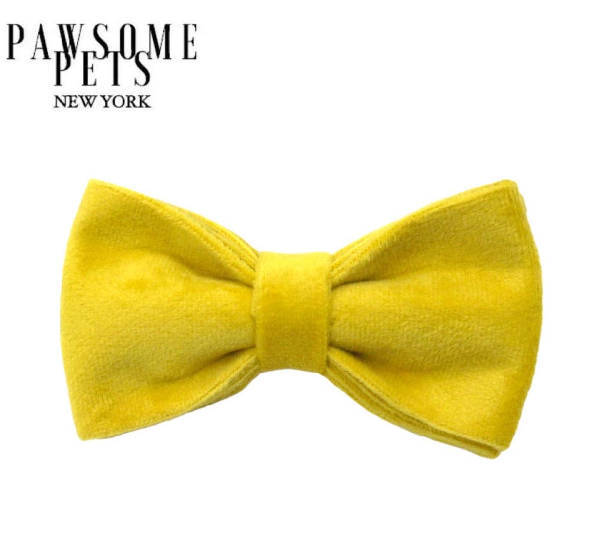 Pawsome Pets New York Muszka - Bright yellow — Ubranka dla psów — photo 2