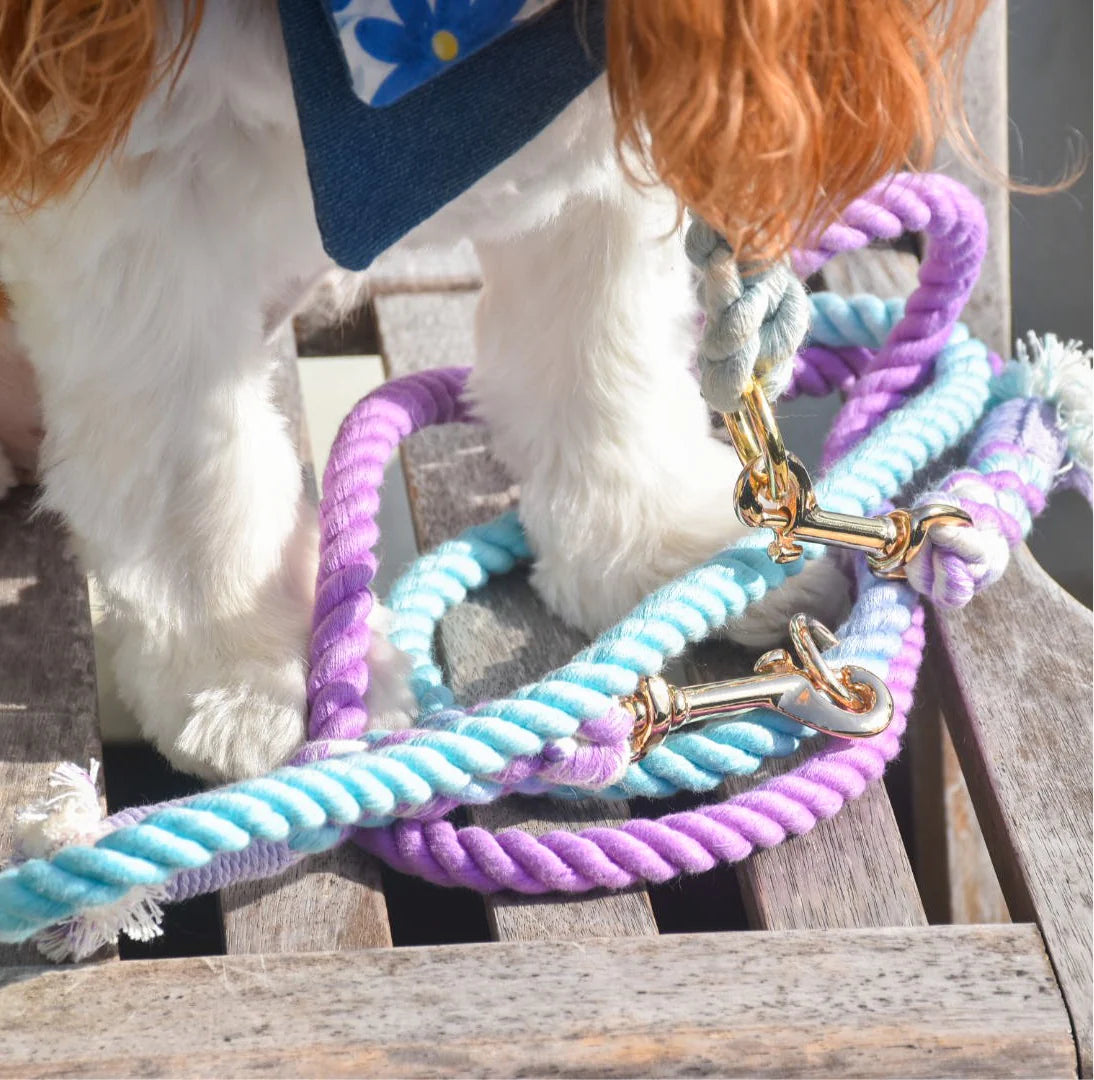 Pawsome Pets New York Laisse mains libres en corde - Aurora — Colliers, laisses et harnais — photo 4