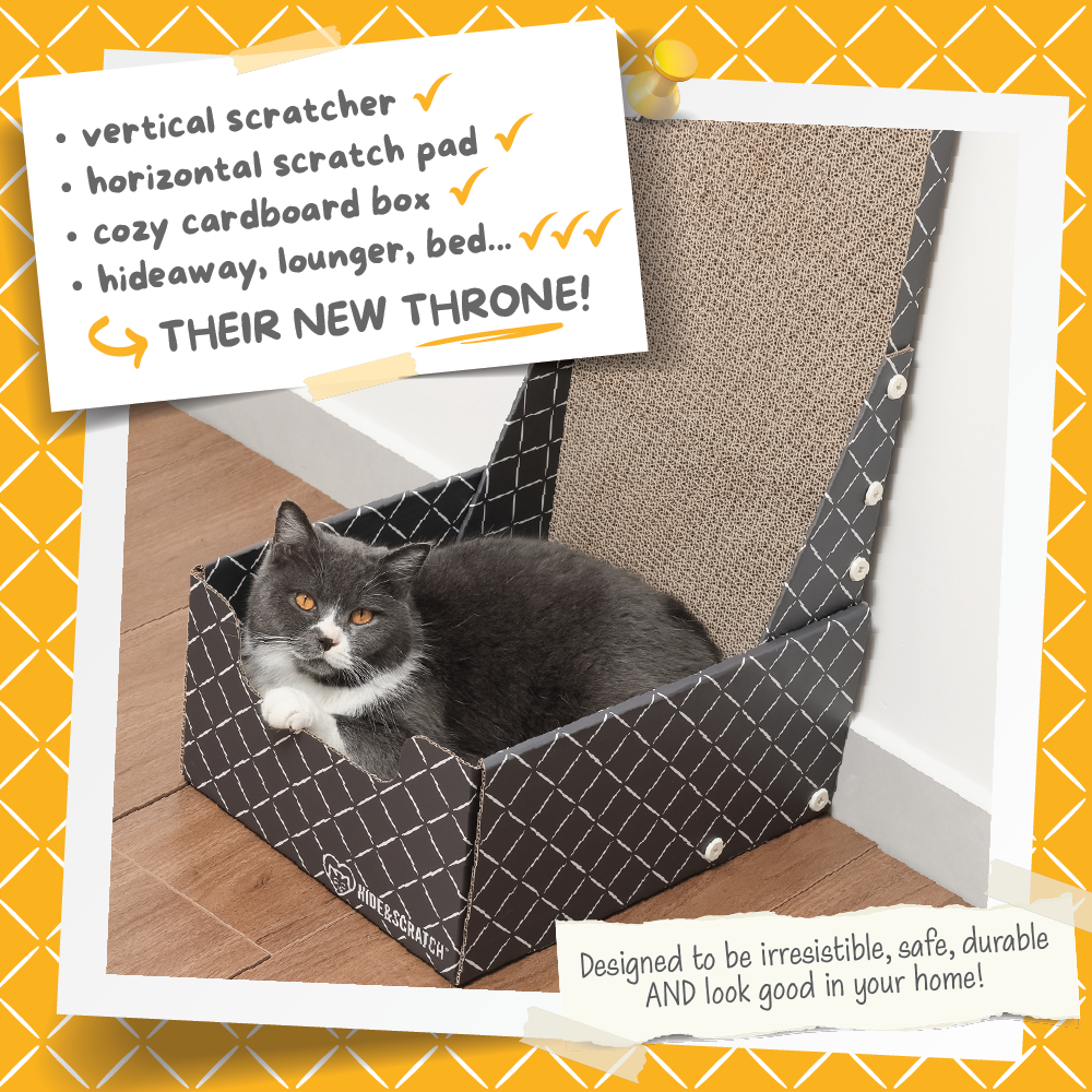 Hide & Scratch 26" L Shaped Cat Scratcher Box and Cat Bed with Double-Sided Cardboard Cat Scratch Pad — Arbres à chat et griffoirs — photo 3