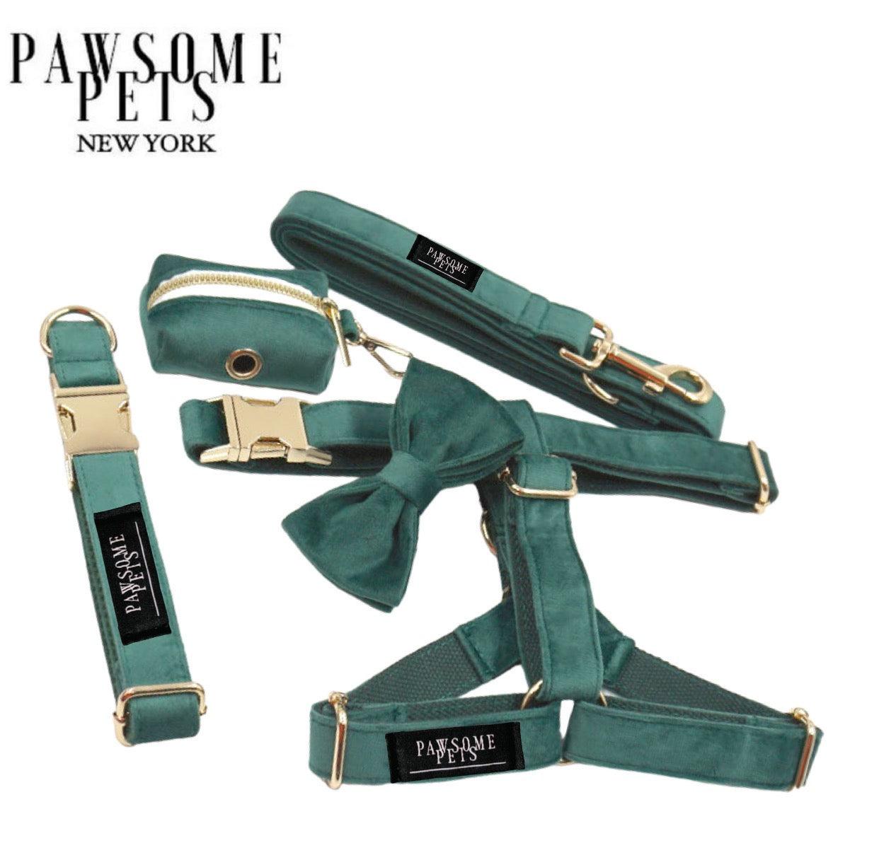 Pawsome Pets New York Ensemble step-in - Vert foncé (5 pièces) — Colliers, laisses et harnais — photo 2