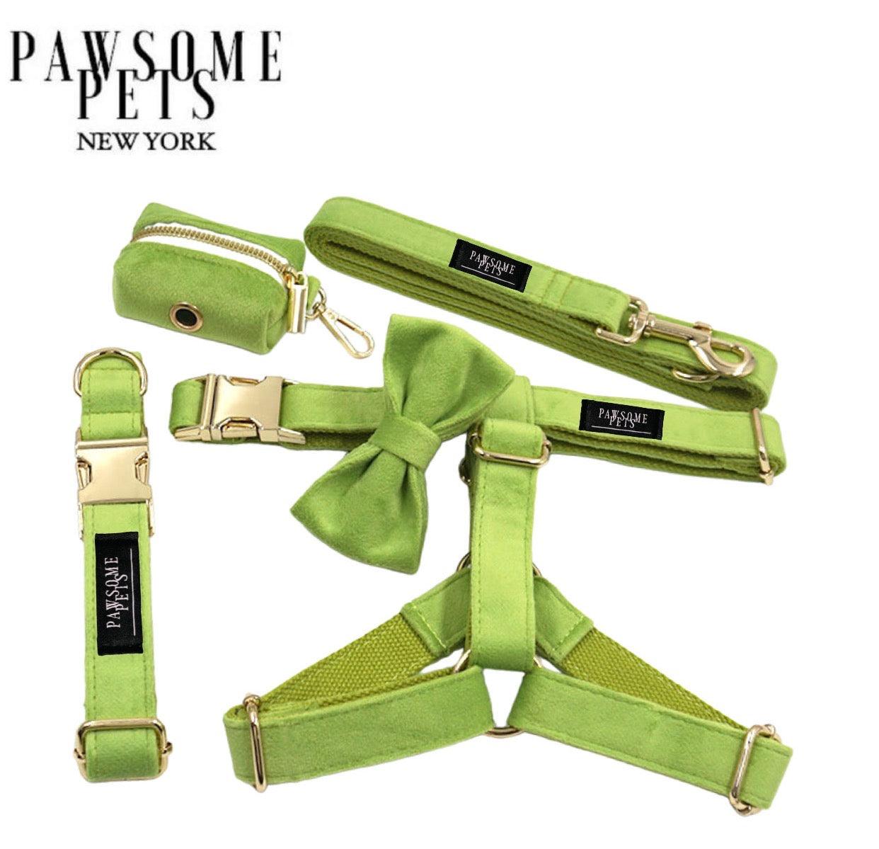 Pawsome Pets New York Zestep step-in - Zielony (5 sztuk) — Obroże, smycze i szelki — photo 2